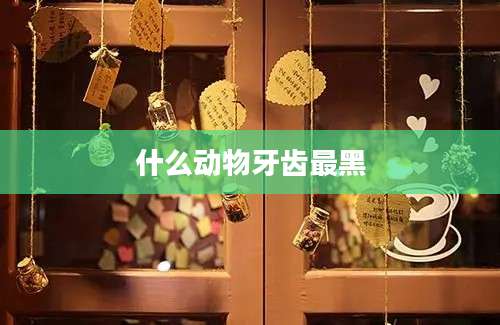 什么动物牙齿最黑