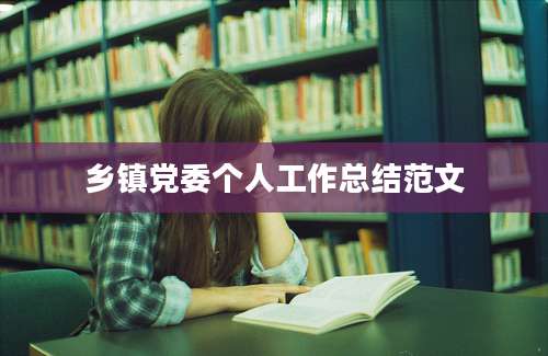 乡镇党委个人工作总结范文