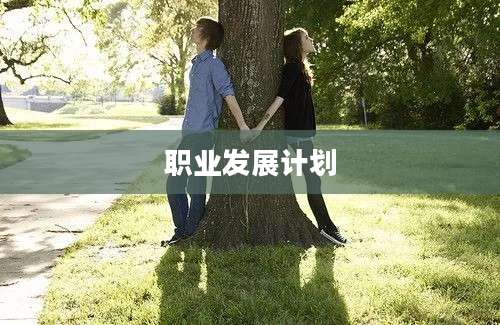 职业发展计划
