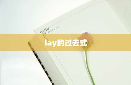 lay的过去式