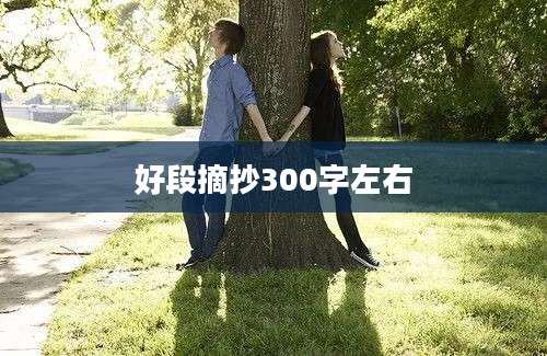 好段摘抄300字左右