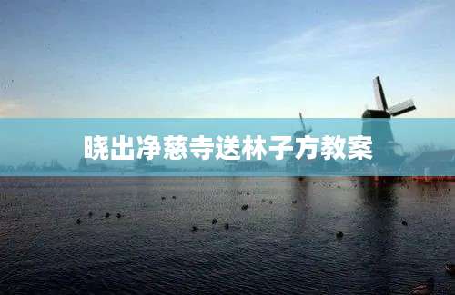 晓出净慈寺送林子方教案