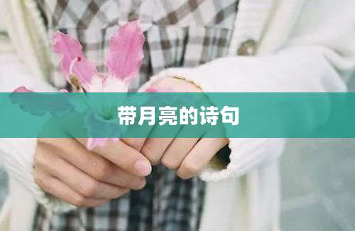 带月亮的诗句