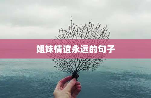 姐妹情谊永远的句子