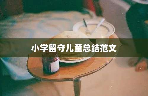 小学留守儿童总结范文