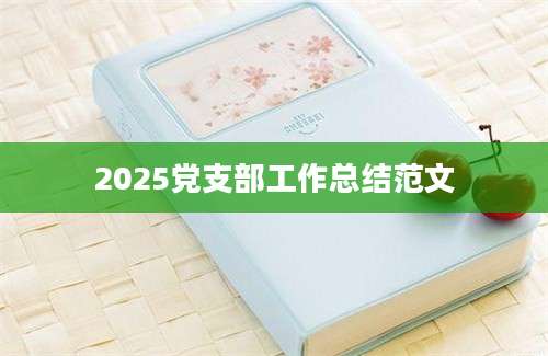 2025党支部工作总结范文