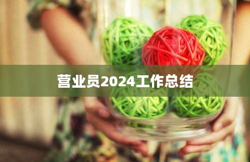 营业员2024工作总结