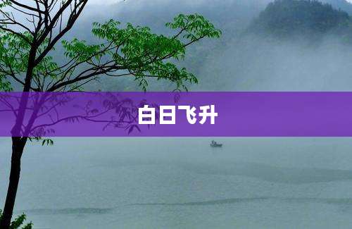 白日飞升