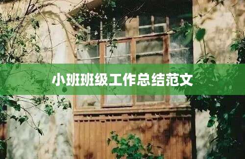 小班班级工作总结范文