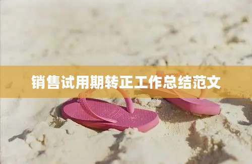 销售试用期转正工作总结范文