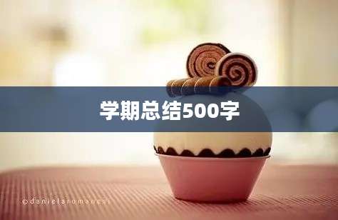 学期总结500字