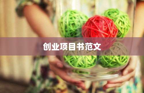 创业项目书范文
