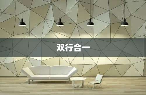 双行合一