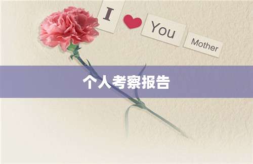 个人考察报告
