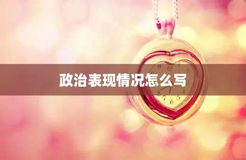 政治表现情况怎么写