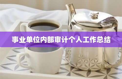 事业单位内部审计个人工作总结