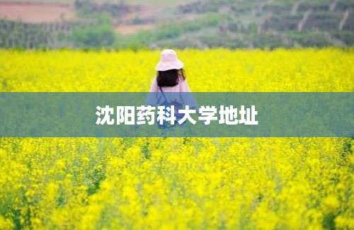 沈阳药科大学地址