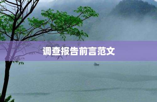 调查报告前言范文