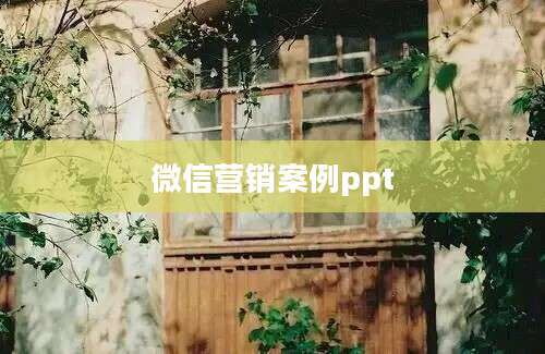 微信营销案例ppt