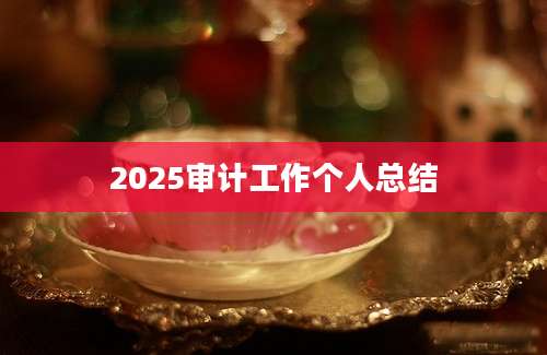 2025审计工作个人总结