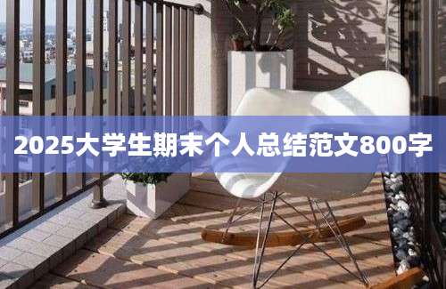 2025大学生期末个人总结范文800字