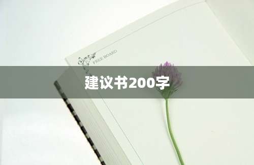 建议书200字