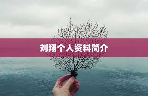 刘翔个人资料简介