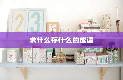 求什么存什么的成语