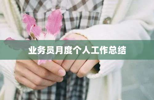 业务员月度个人工作总结