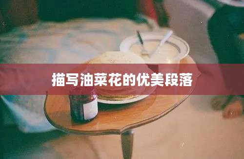 描写油菜花的优美段落
