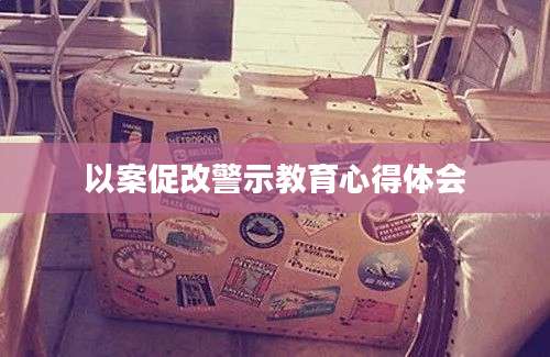 以案促改警示教育心得体会