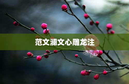 范文澜文心雕龙注