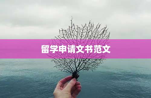 留学申请文书范文