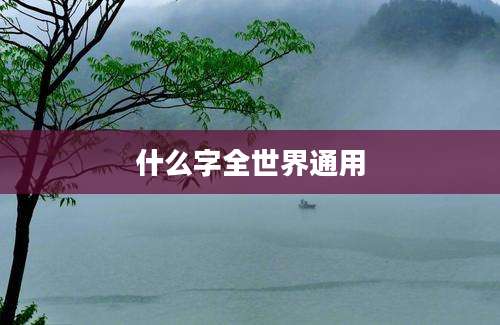 什么字全世界通用