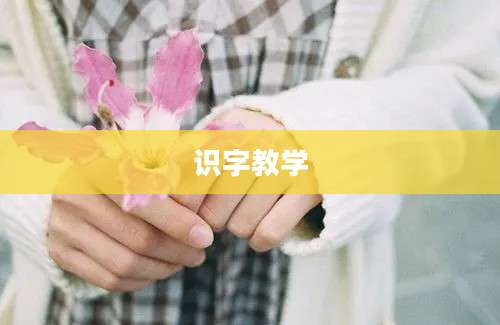 识字教学