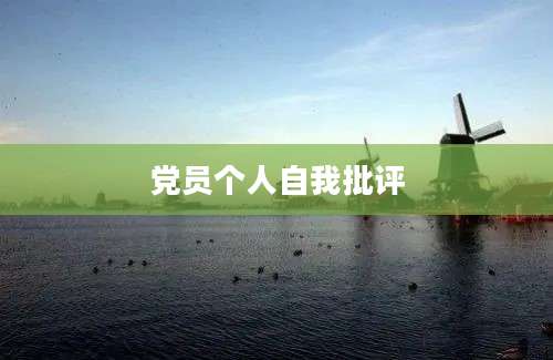 党员个人自我批评