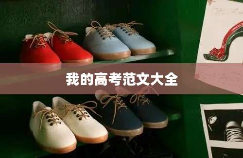 我的高考范文大全