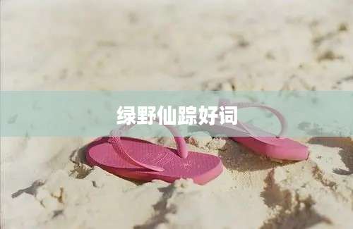 绿野仙踪好词