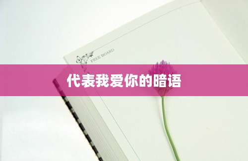 代表我爱你的暗语