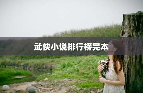 武侠小说排行榜完本