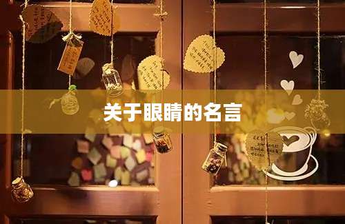 关于眼睛的名言
