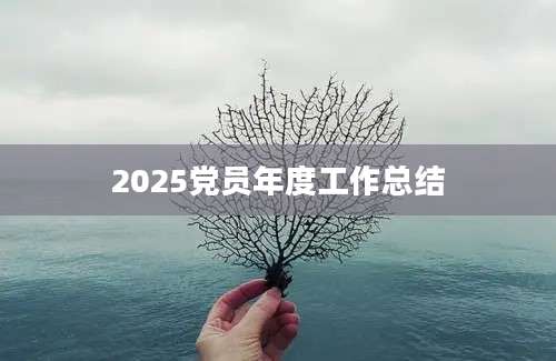 2025党员年度工作总结