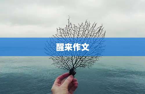 醒来作文