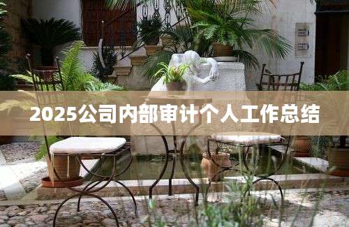 2025公司内部审计个人工作总结