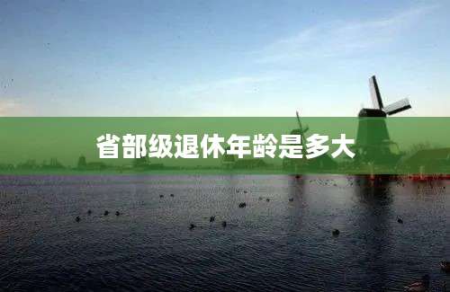 省部级退休年龄是多大