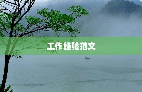 工作经验范文