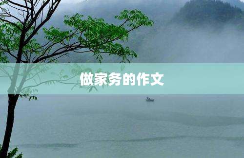 做家务的作文