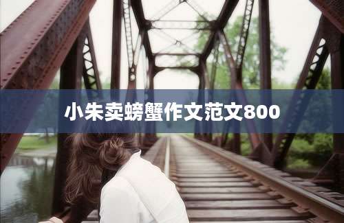 小朱卖螃蟹作文范文800