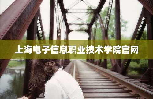 上海电子信息职业技术学院官网