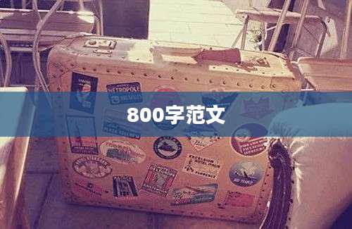800字范文